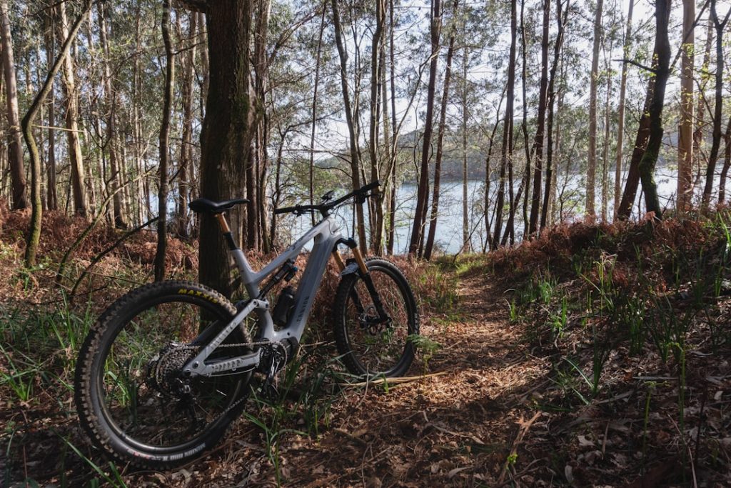 a-bicycle-parked-in-the-woods-next-to-a-lake-przbhje46a4