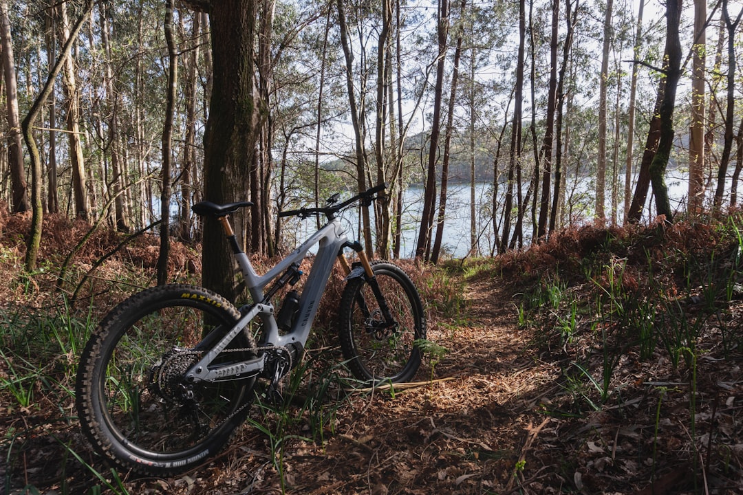 a-bicycle-parked-in-the-woods-next-to-a-lake-przbhje46a4